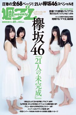 红星照耀中国电子书